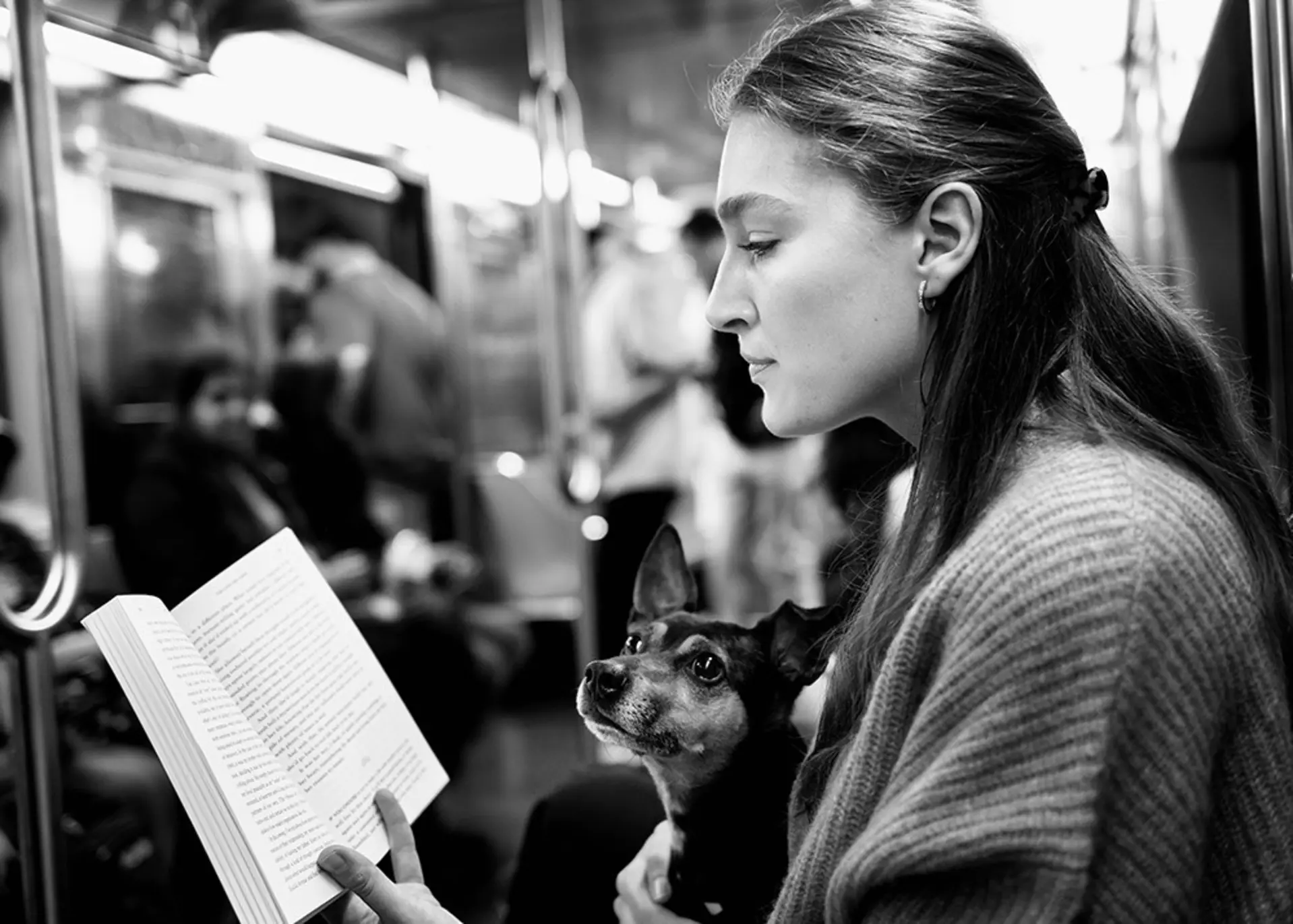 Person liest Buch in U-Bahn und hat Hund auf dem Schoß.