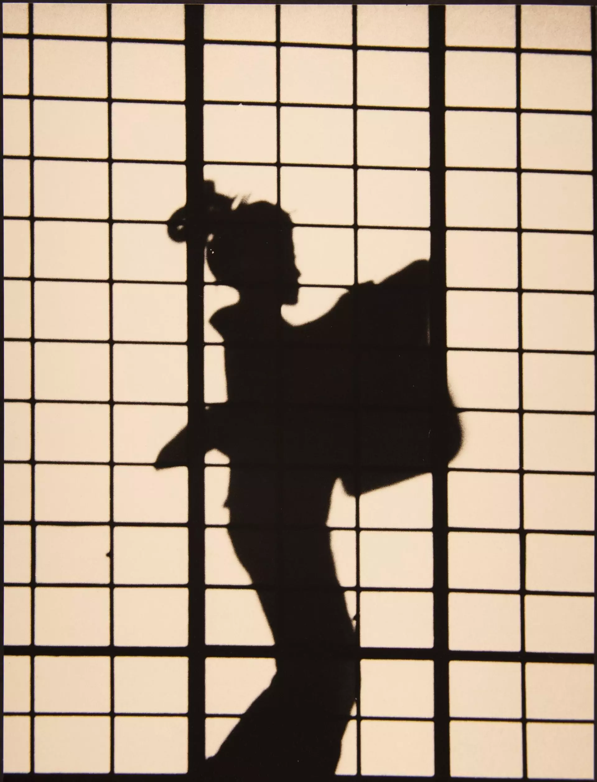 Silhouette einer Person in traditionellem Gewand vor rasterartigem Hintergrund mit rechteckigen Feldern.