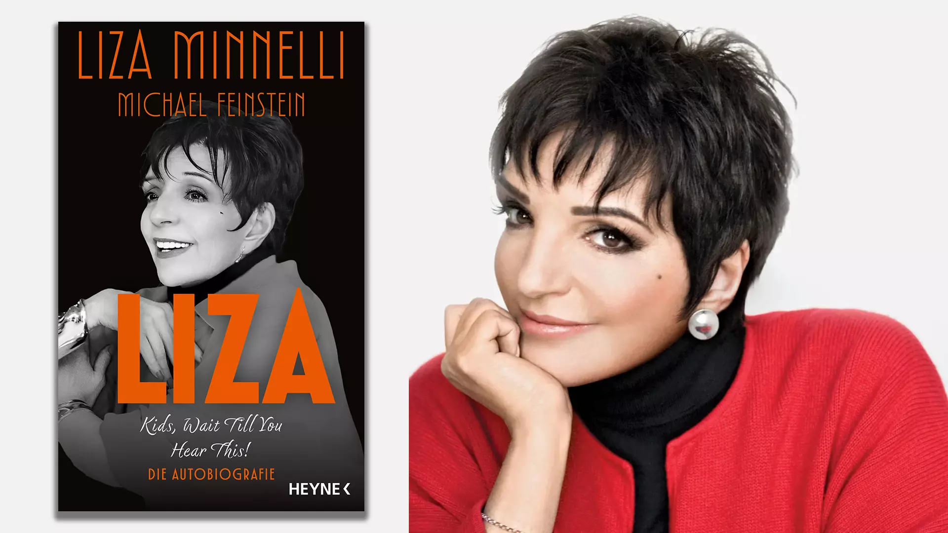 Collage of book cover and portrait of Liza Minnelli