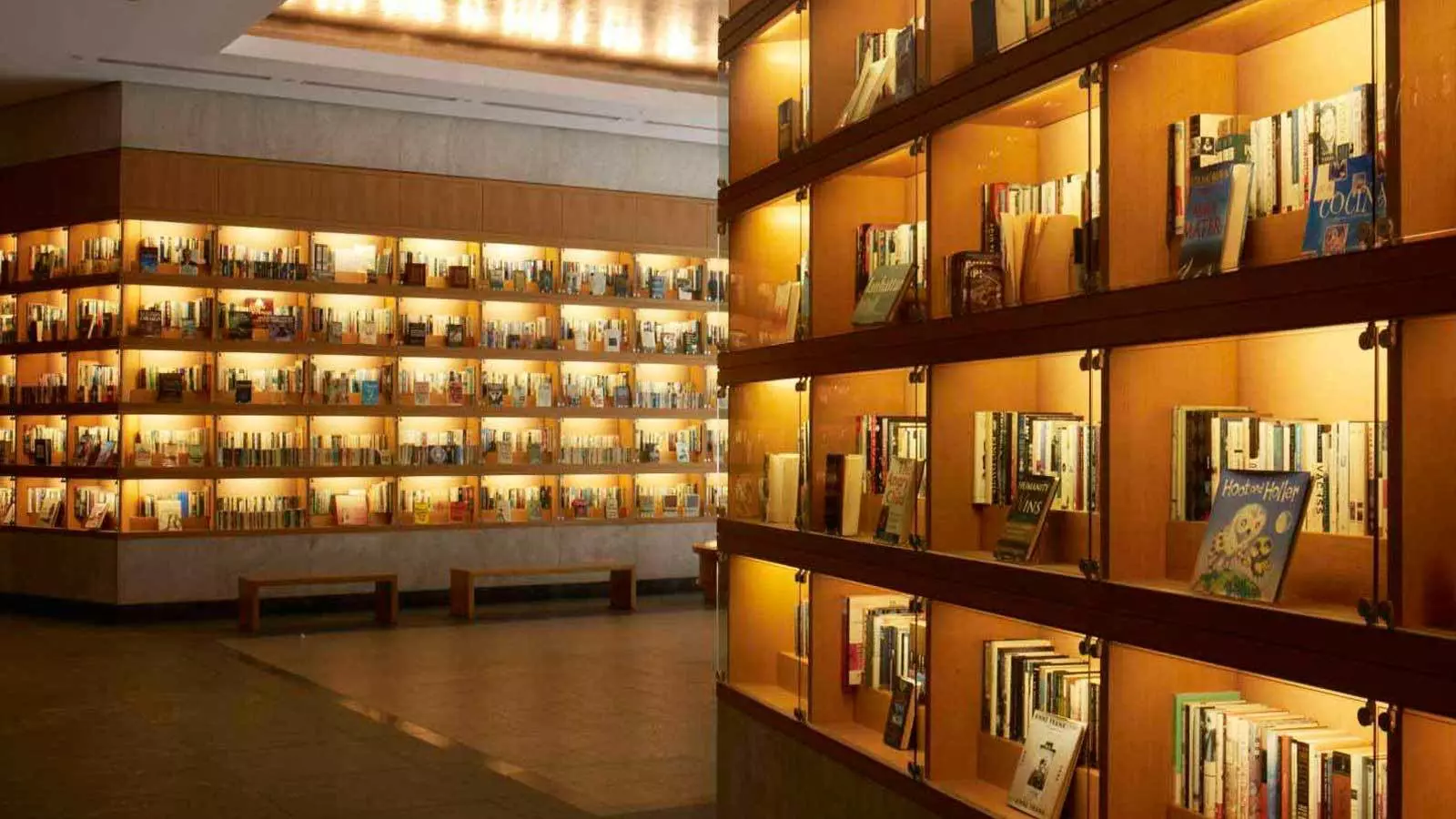 Image of large book display cases