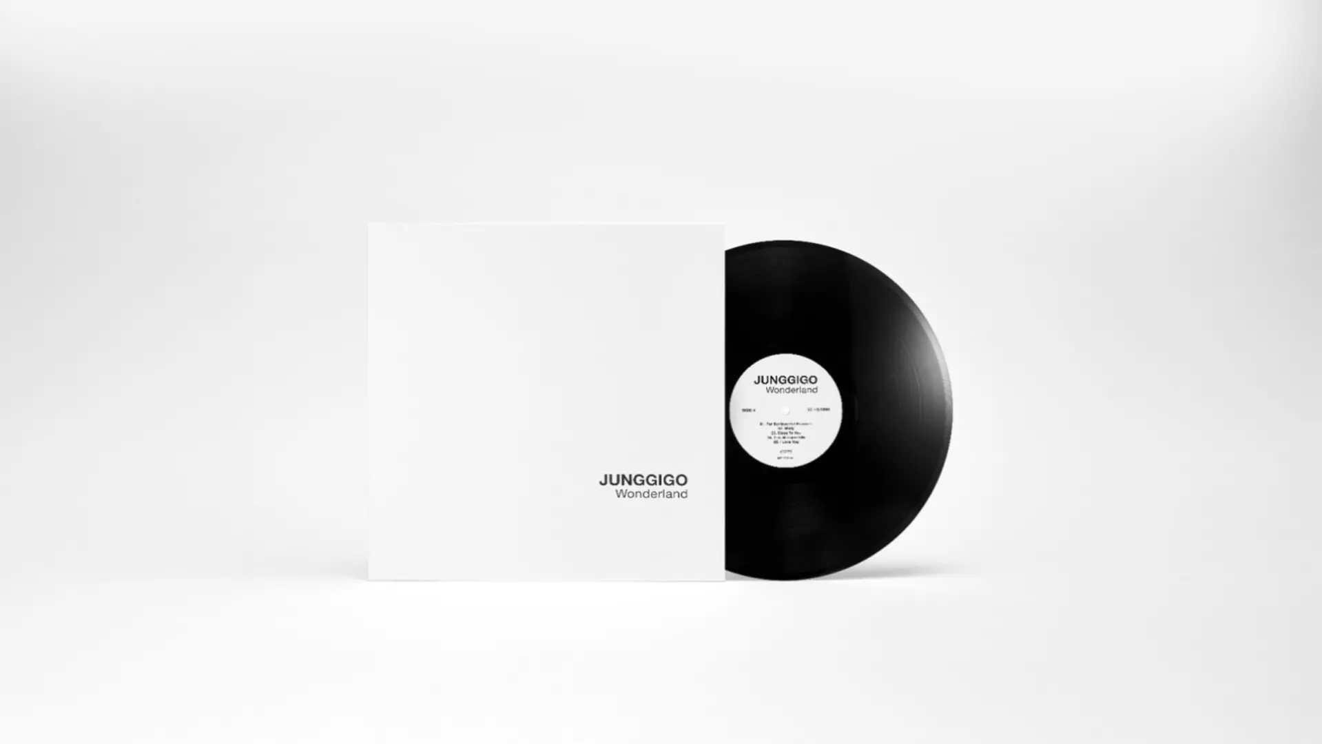 Vinyl and Cover of the Album by Junggigo